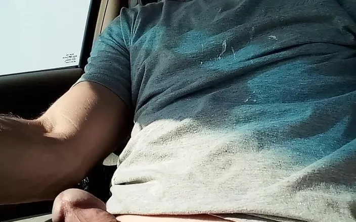 The Lizard King: In the Car Playing