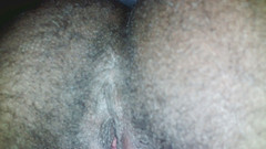 AceTransMan: Spettacolo trans