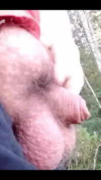 484118313627033600.mp4