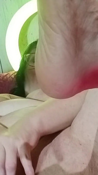 穿上爸爸公主N喷在我的鸡巴上