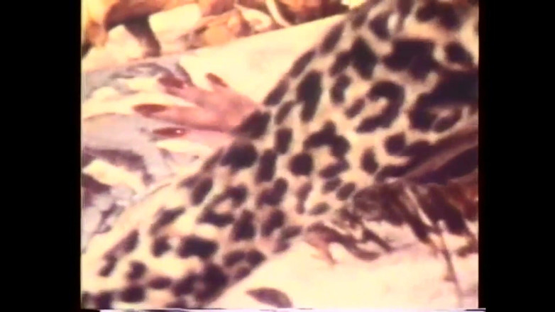 Vintage Usa: 曾经的美国 XXX - vol。 #04