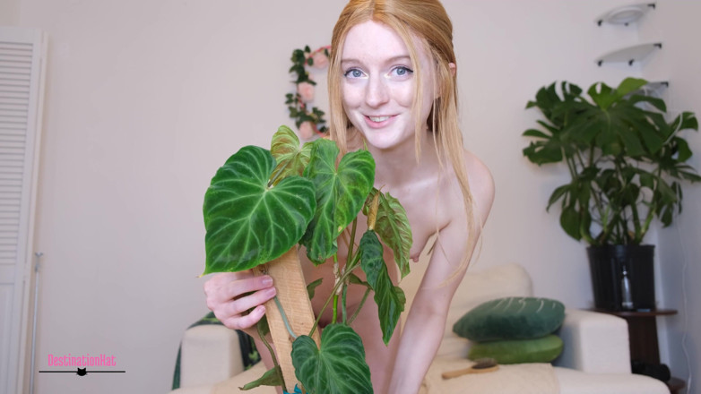 Destination Kat: Showing You My Plants Without Pants