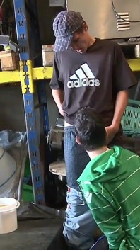Los chicos que huele patinadora están cachondos por pollas y culos