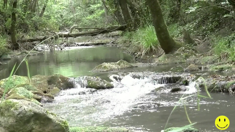 French Amateur Porn: 32 year-old French slut ass fucked by the river