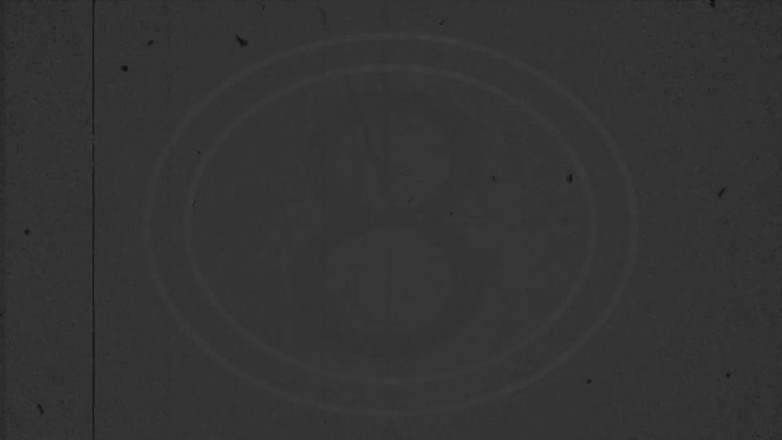 Mr. POV: Odbijanie łupu