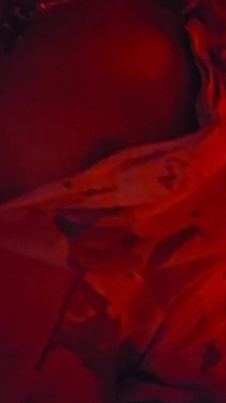 MajorDick: Erwischt wieder bei stiefmutter