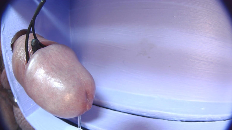 Gaylectrician: Éjaculation e-stim 21-11-22