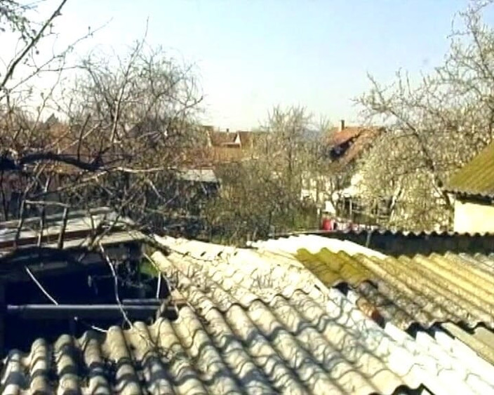 Deutscher hardcore: Suri rumah Jerman liar dikongkek oleh penjaga zakar besar