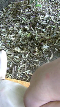 Mylene Johnson Mylene-johnson_kevin-white_terry_mo_01