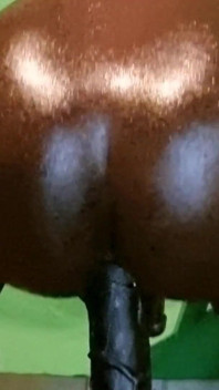 Kuda