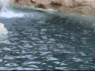 CBD Media Interracial: The swimming instructor gets her African pussy fucked