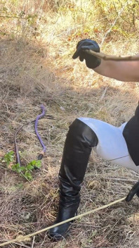 Falaka in the Woods with Empressbellasadistic Having Fun
