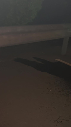 June695: Sokakta Altın Duş