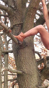 Piss in Tree