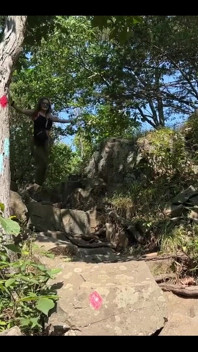 This Is a Fun Little Time in the Woods!