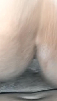 Grosse bite noire en levrette, creampie gémissant, orgasmes intenses