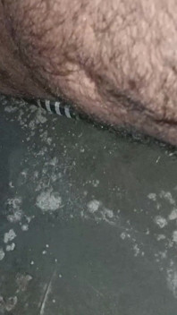 Indian Boy Black Dick Masturbate and Cum