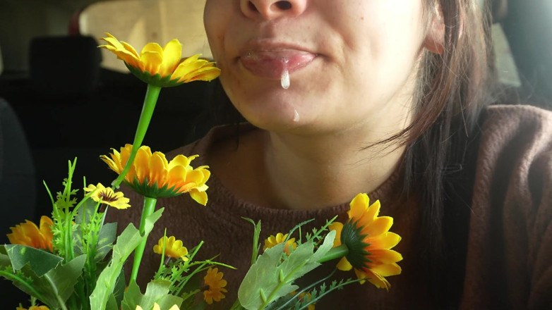 AmayaMori: 내 플라스틱 꽃 알레르기 반응 차에 재채기 적합