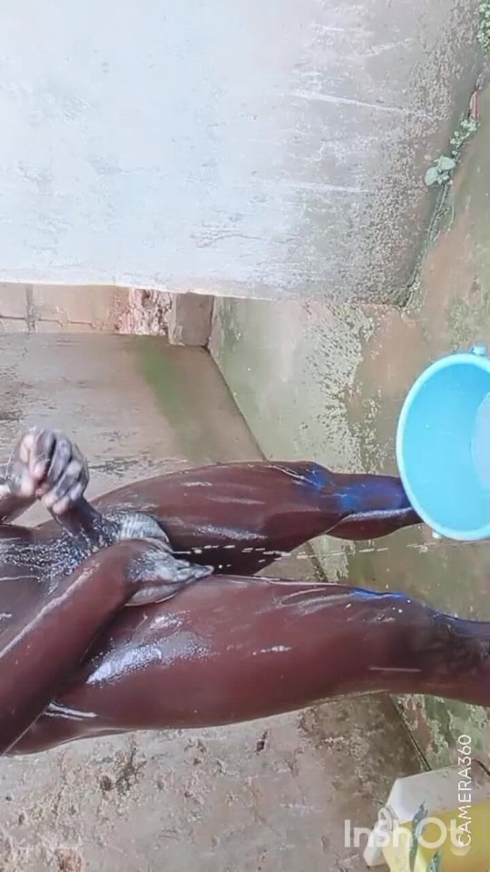 Hongi: BBC Massageia Orgias Na África