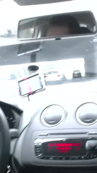 レッドハード・クーガーが私の車でセックス 6021 2