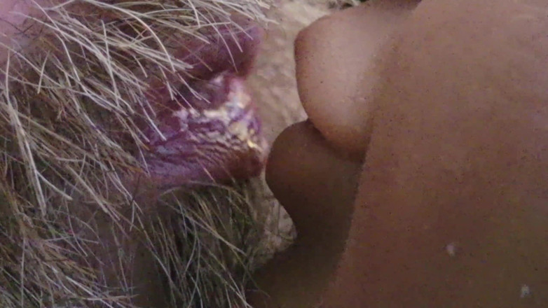 JJ7779: Bercium, Meludah Dan Mengongkek Mulut Lagak Ngeri Saya