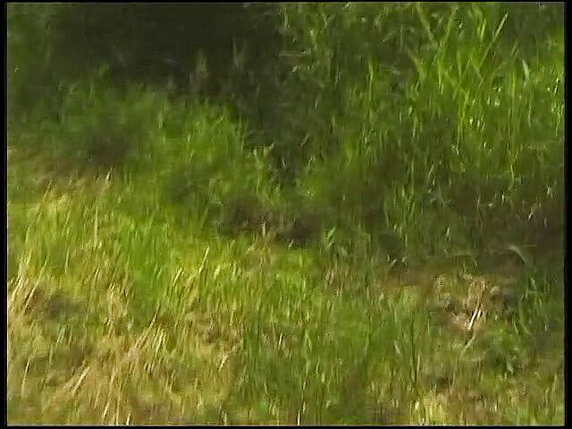 Xfamster: La bionda pelosa matura si diverte all'aperto