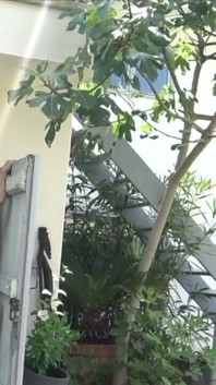 Si jalang Perancis dikongkek mentah oleh badboy tanpa kondom