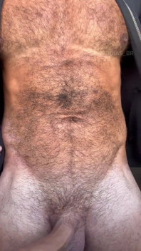 Urs musculos mare păros, solo