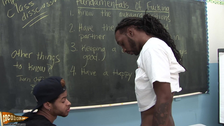 CocoDorm: Leon holt + tygax - đụ như một người chuyên nghiệp