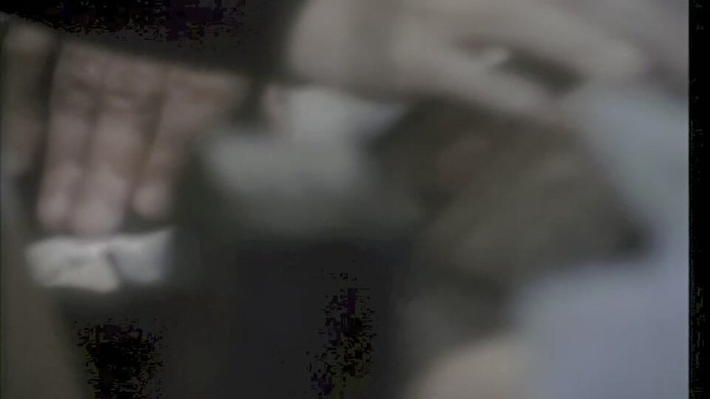 Inhonorof porn: Cicciolina en andere sleiren neuken met Rocco Siffredi en Roberto...