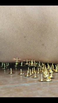 A New and Exciting Experience