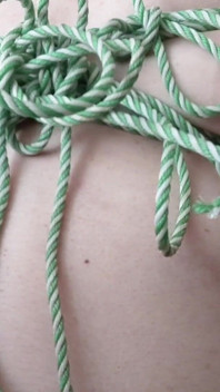 Titisbdsm3