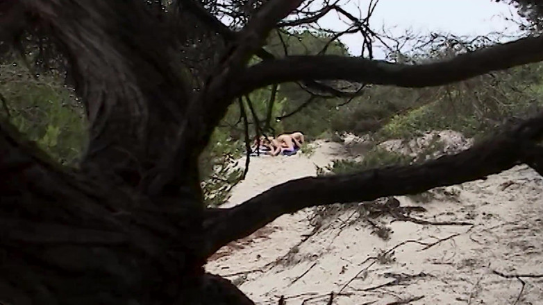 Sextermedia by Pete: Couple Spied on While Fucking on the Beach