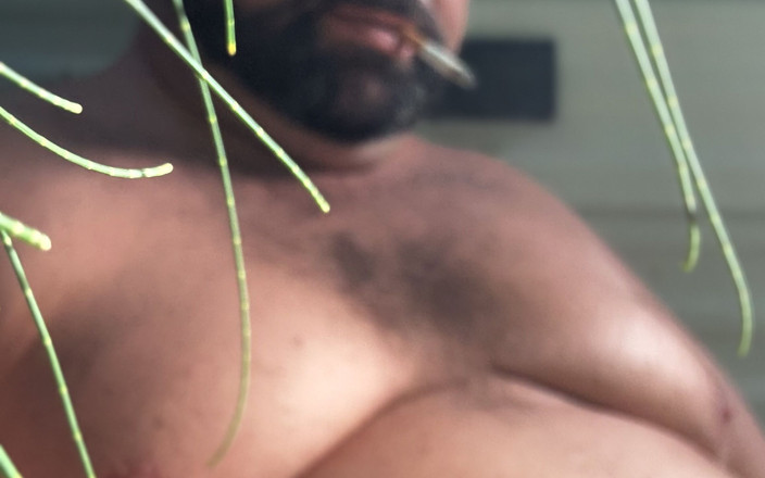 Brewster Bear: Ведмідь Кінчає В Кемпінгу В Лісі