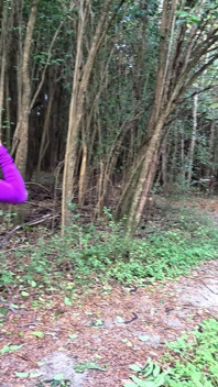 In the Forest with My Friends. Yes, Sex Exists Between Friends