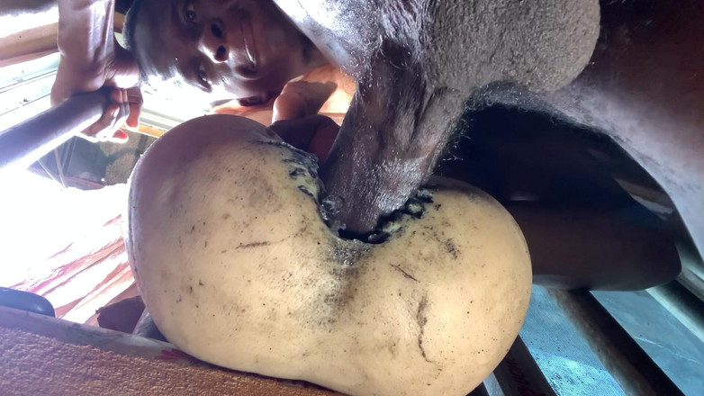 Bangcum8: Amateur, dicker arsch ist zu eng, lässt mich schnell kommen,...