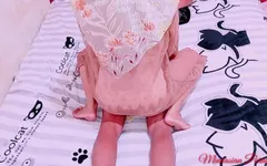 Cewek Berjilbab Hot Urut Sampai Ngentot