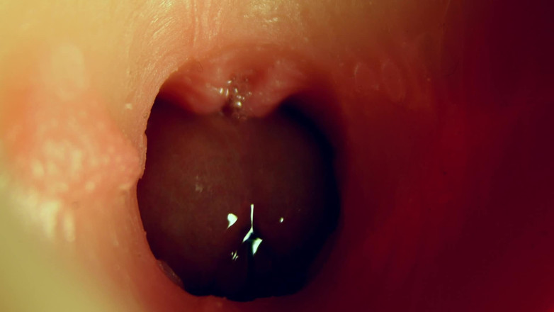 SEXY_GUYBEST: Merveilleux trou profond mouillé pour le plaisir d’une grosse bite !