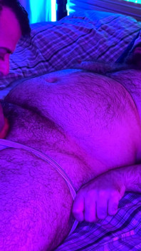 Osos De Neon
