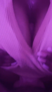Aaliyah Stora Bröst