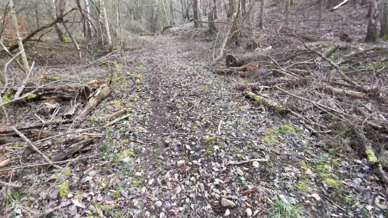 Bouncy Tits Action: Gifles nues dans la nature