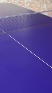 Jag Vinner Vad Och Min Svägerska Ger Mig Sin Tajta Fitta Som Pris, Jag Suger Den Bättre Än Hon Spelar Pingis