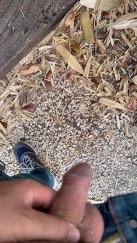 Peeing in the Garden