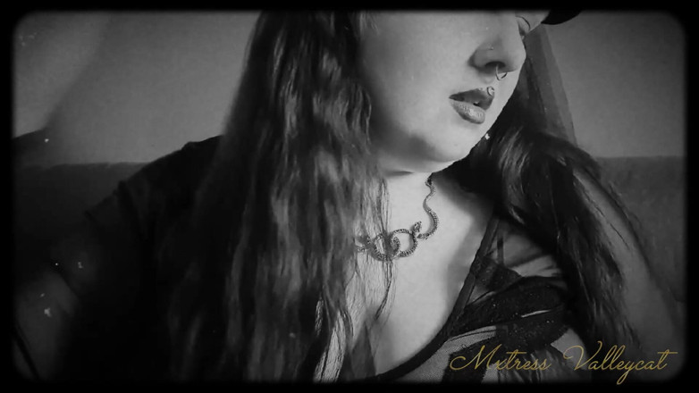 Mxtress Valleycat: Sedm dní být mým otrokem