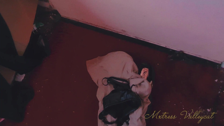 Mxtress Valleycat: Body Snatched