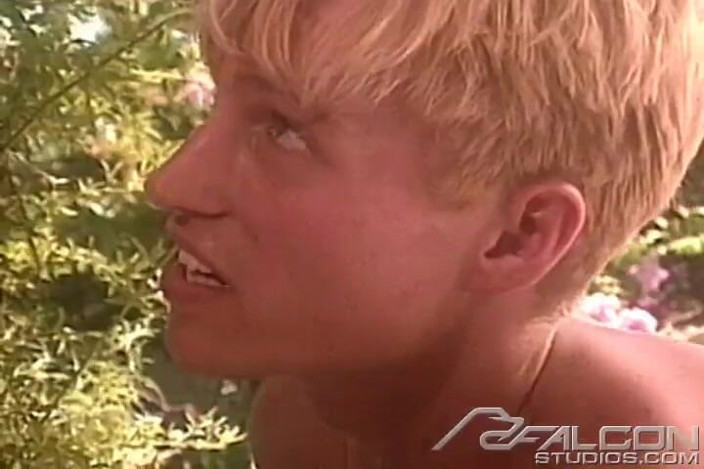 Falcon Studios: Summer Fever