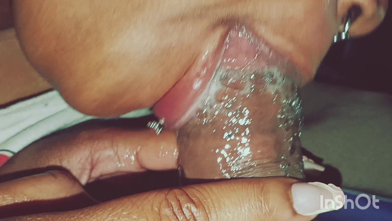 The Nasty House: Las crónicas de la garganta, vol 1