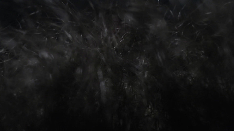 Hunky time: Da daddy tôn thờ và ngửi mái tóc mu dài...