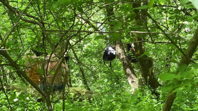 1TeddyBear1: Sex I Skogen, TVå. Del 1. Ursprunglig 4K-version