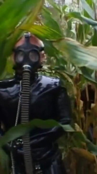 Leccata di figa in maschera antigas umiliante